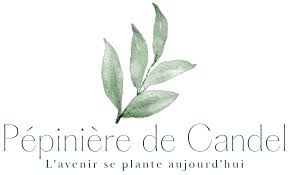 Logo partenaire